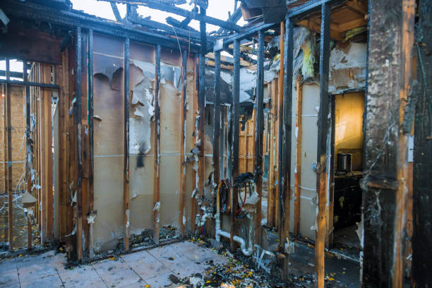 Professional Smoke Damage Removal technician working in Rosedale, WA